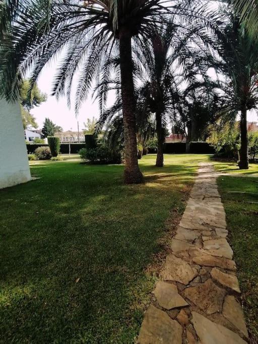 Studio Paris Daire Estepona Dış mekan fotoğraf